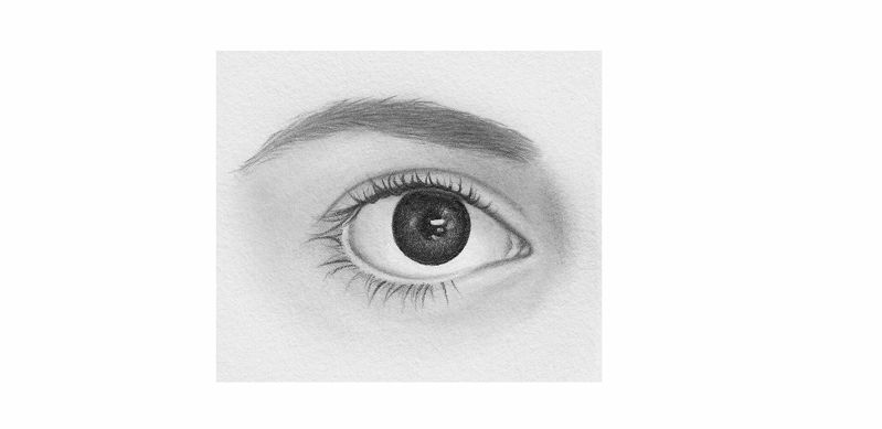 Crafting the Perfect Brow: Expert Tips for Natural Definition